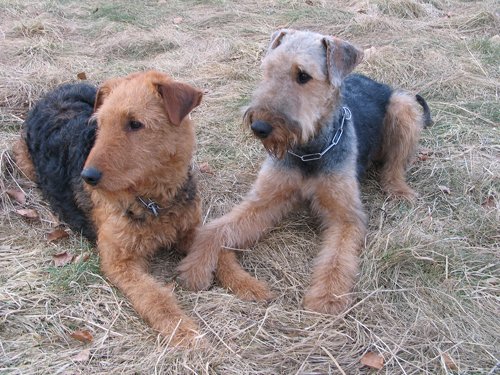 Lilly und Rachel Febr. 09